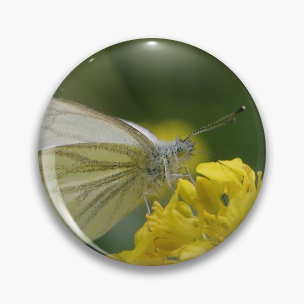 Item preview, Veined White on Brassica designed and sold by cuprum.
