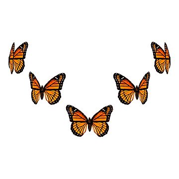 Fliegender Schmetterling Animations GIF