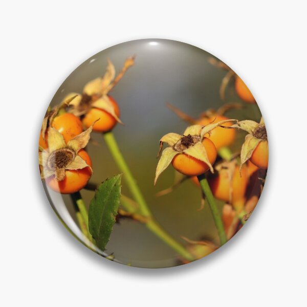 Item preview, Rose Hips in Autumn designed and sold by cuprum.