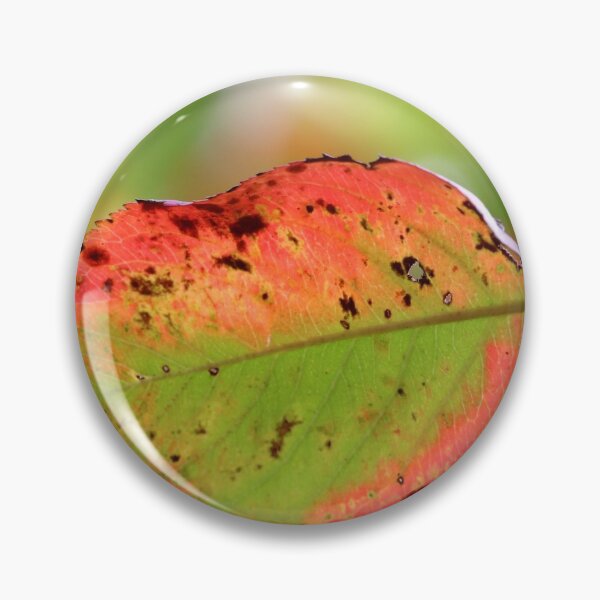Item preview, Autumn Palette designed and sold by cuprum.