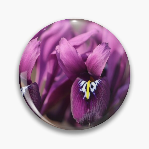 Item preview, Purple Iris reticulata designed and sold by cuprum.
