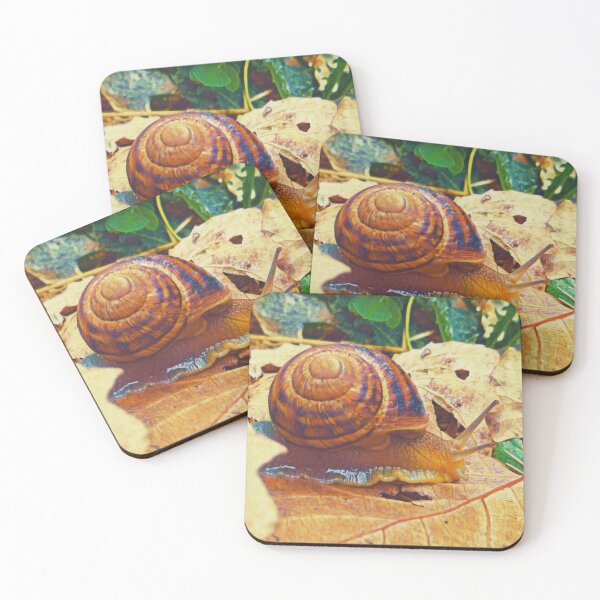 Item preview, Edible snail crawling somewhere designed and sold by helenkaiy.