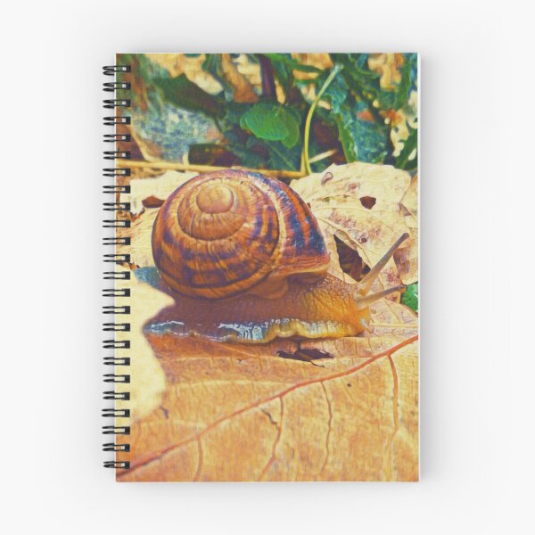 Item preview, Edible snail crawling somewhere designed and sold by helenkaiy.