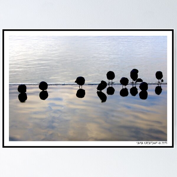 A cold morning Poster