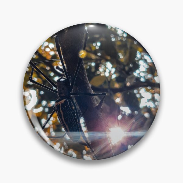 Artikelvorschau, Sonnenreflexion und Spinne am Baum entworfen und verkauft von Bibash.