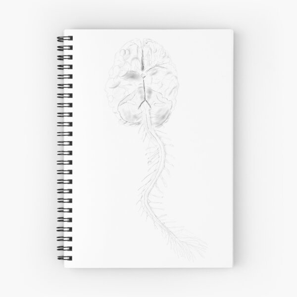 Item preview, Brain stem drawing designed and sold by QJeanette.
