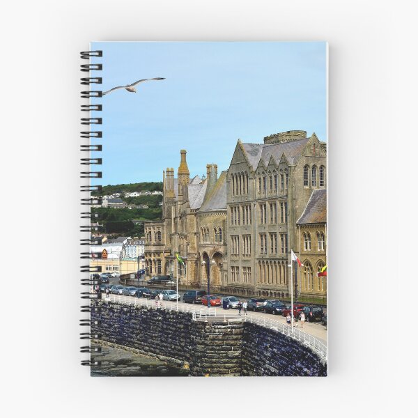 Item preview, Aberystwyth, Old College designed and sold by Frank  Irwin.