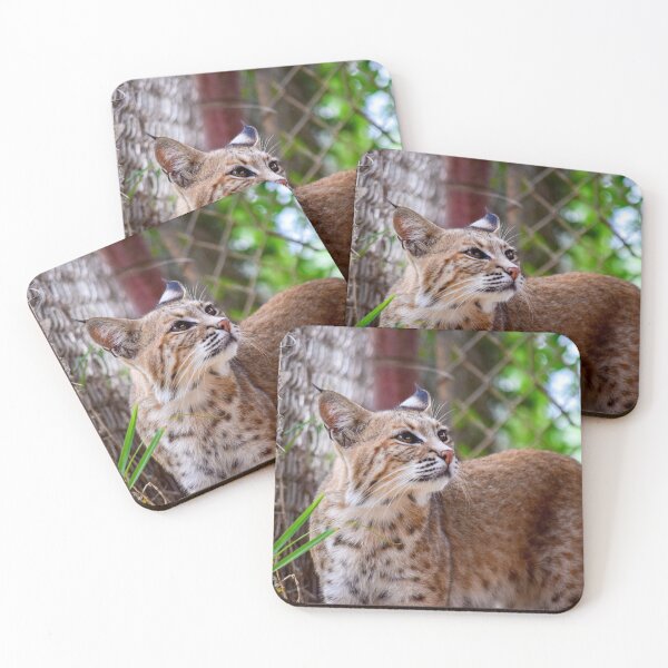 Item preview, Mia the Bobcat designed and sold by brookecabin.