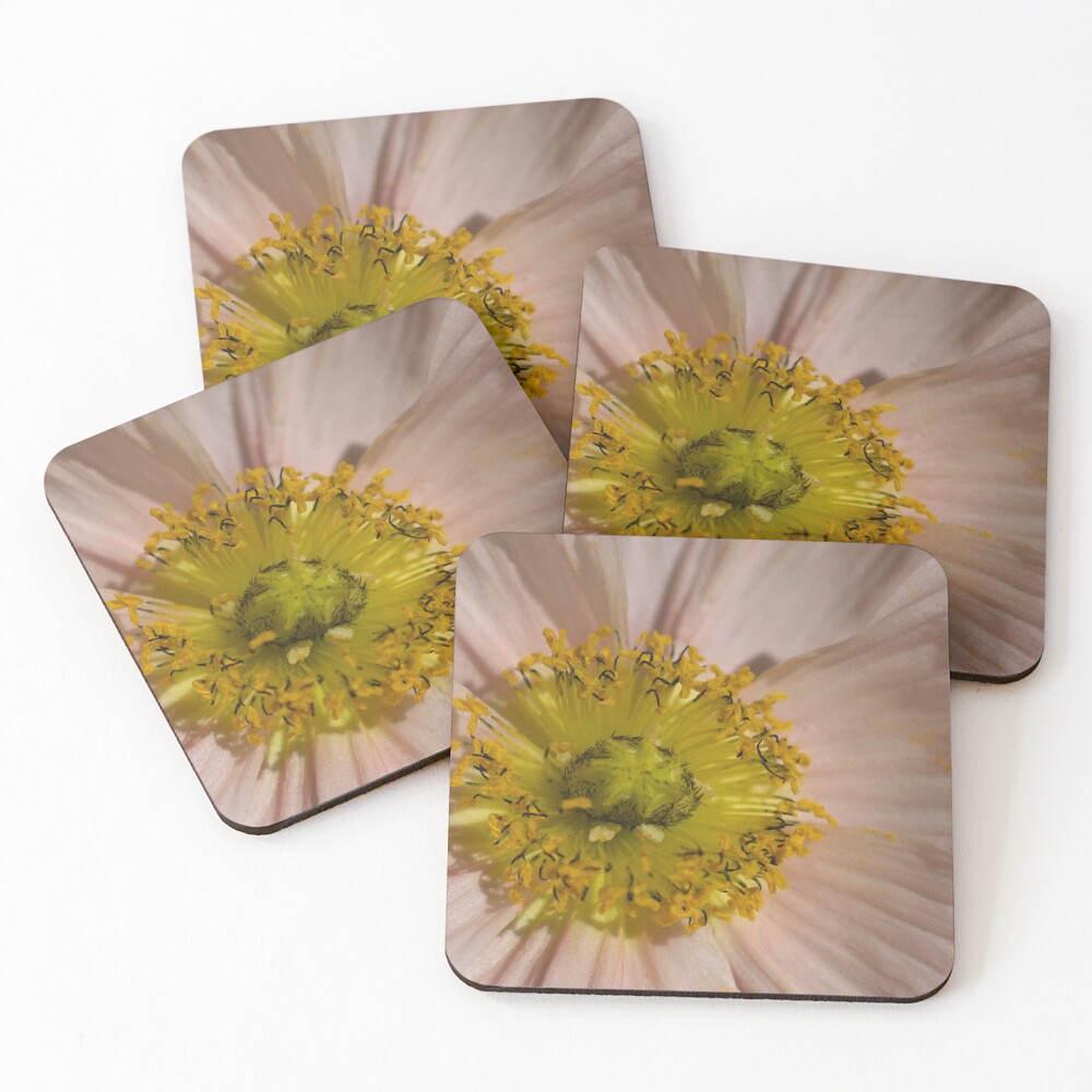 Item preview, Coasters (Set of 4) designed and sold by MagdaLabuda.