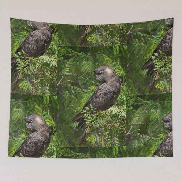 Item preview, Caranby's Cockatoo, male, in the Jacaranda tree. Kardinya, W.A. designed and sold by Sandra Chung.