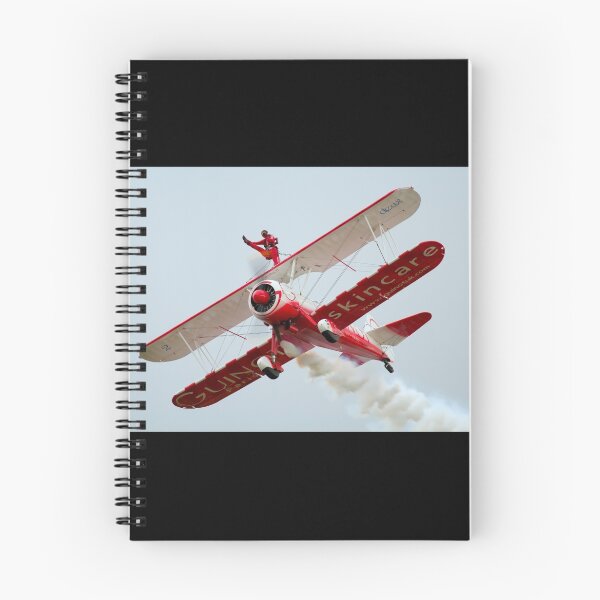 Item preview, Wingwalker designed and sold by Stuart Robertson Reynolds.