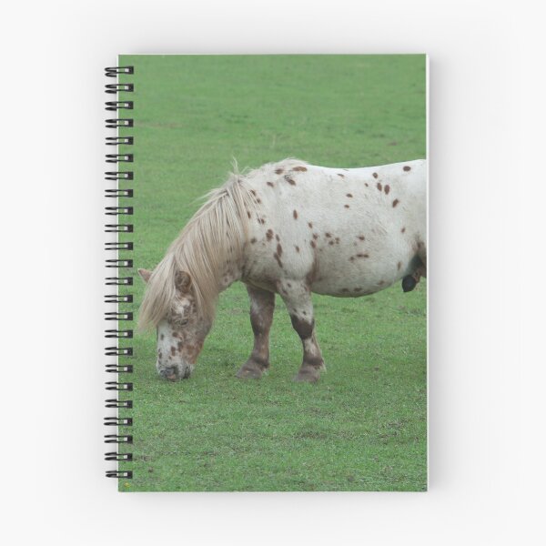 Item preview, Miniature Shetland Pony designed and sold by Mythos57.