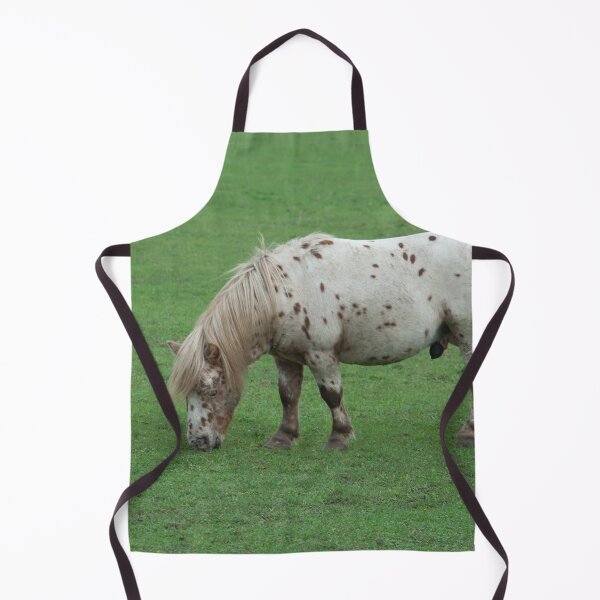 Item preview, Miniature Shetland Pony designed and sold by Mythos57.