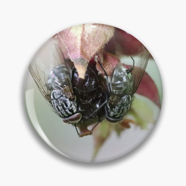 Item preview, Some Berry Hungry Flies designed and sold by cuprum.