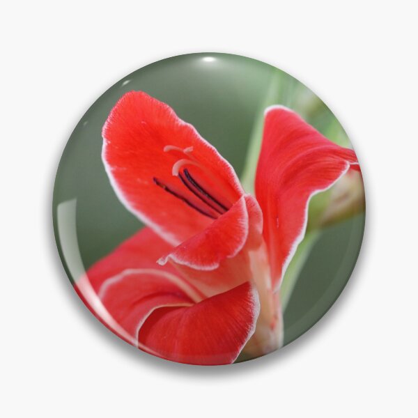 Item preview, Something Bright designed and sold by cuprum.