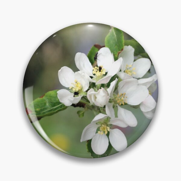 Item preview, Apple Blossom designed and sold by cuprum.