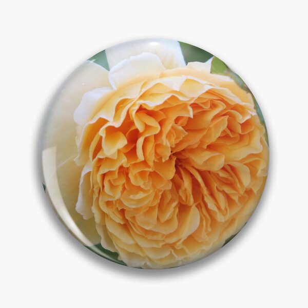 Item preview, A Perfect English Rose designed and sold by cuprum.