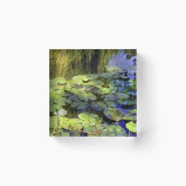 Aperçu de l'œuvre Réflexions Giverny de Monet créée et vendue par PepperMendez.