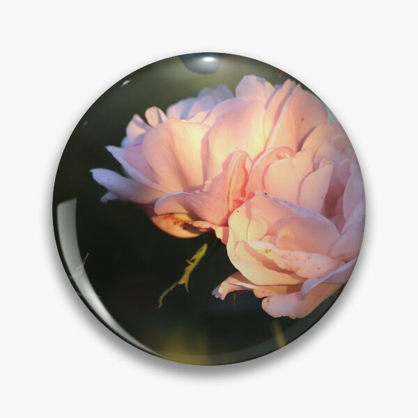 Item preview, A Rose at Day's End designed and sold by cuprum.