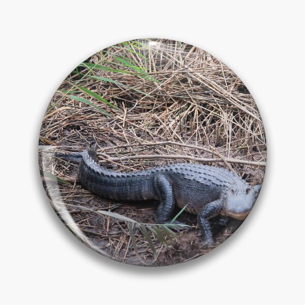 Item preview, Charlene The Alligator designed and sold by Cynthia48.