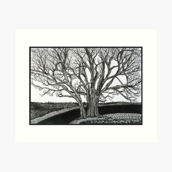 Solitary Art Print
