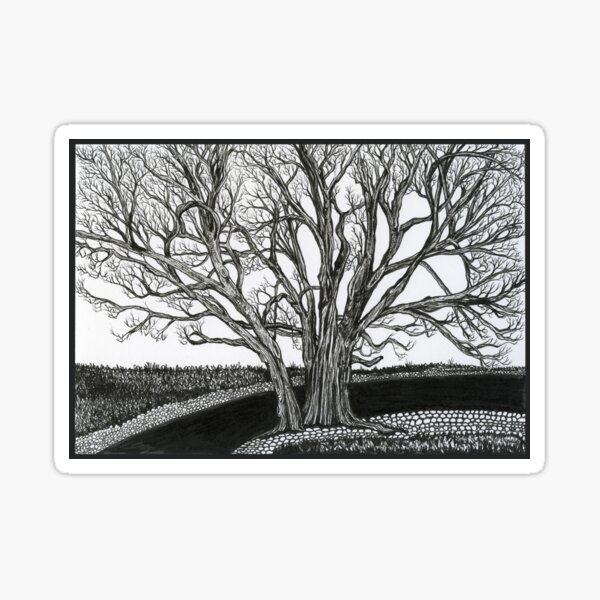 Solitary Tree – Ink Landscape Drawing Sticker
