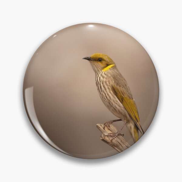 Item preview, Yellow-plumed Honeyeater II designed and sold by SusanAdey.