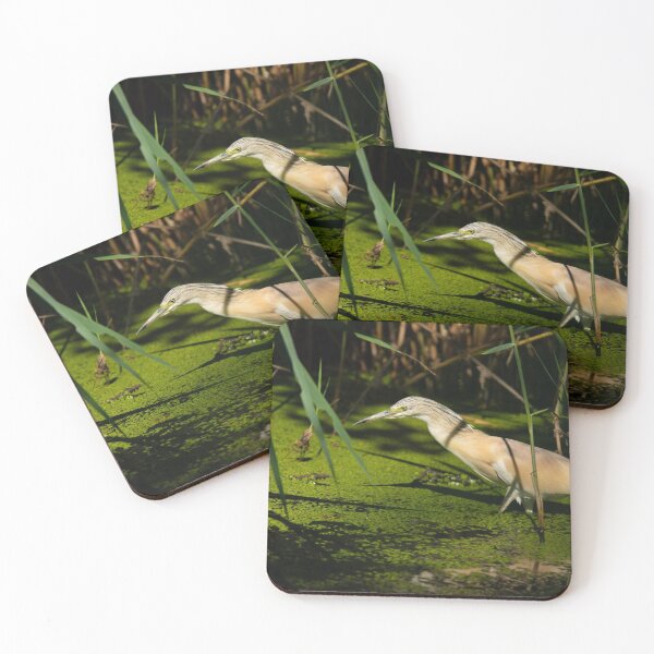 Item preview, Squacco Heron prowling the waters designed and sold by AndrewJonesFoto.