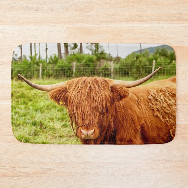 Item preview, Scottish Highland Bull designed and sold by Photopat.