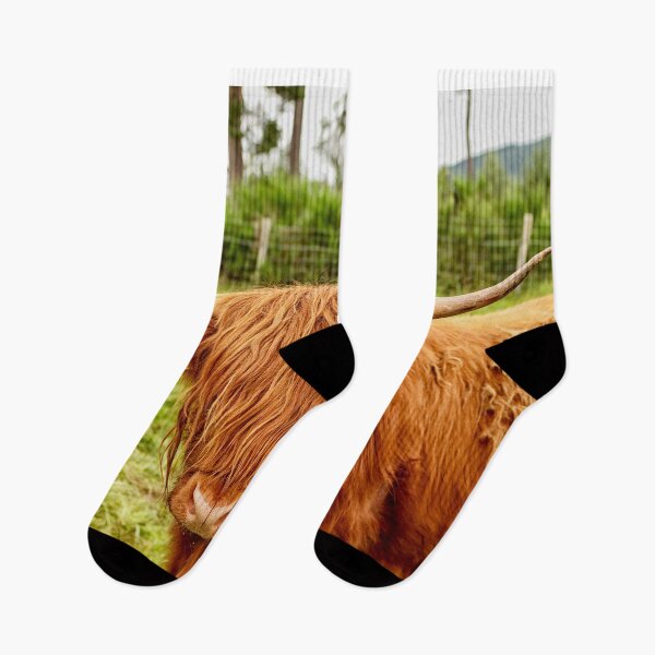 Item preview, Scottish Highland Bull designed and sold by Photopat.