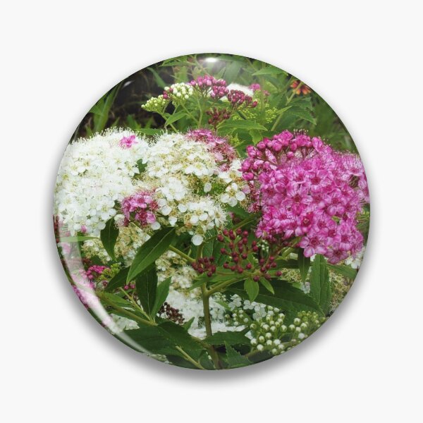 Item preview, Splendid Spirea designed and sold by CJGrimes.