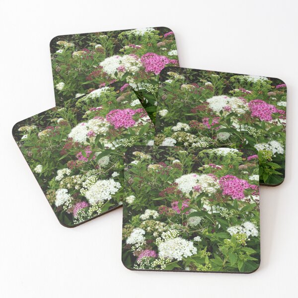 Item preview, Splendid Spirea designed and sold by CJGrimes.