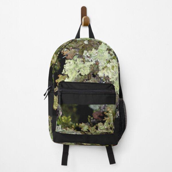 Item preview, Green Forest Lichen, Cradle Mountain, Tasmania, Australia. designed and sold by kaysharp.