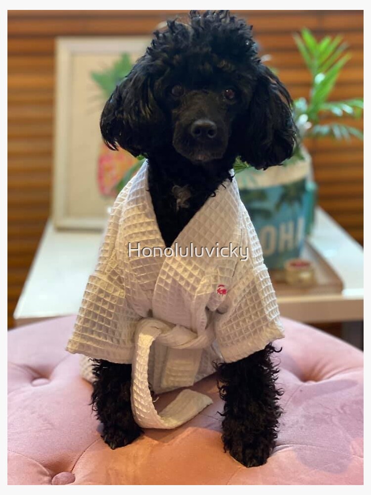 "Toy Poodle Honolulu" Sticker for Sale by Honoluluvicky Redbubble