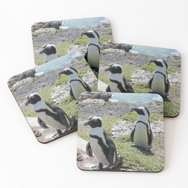 Artikelvorschau, Westkap von Südafrika: Pinguine entworfen und verkauft von Stratus13.