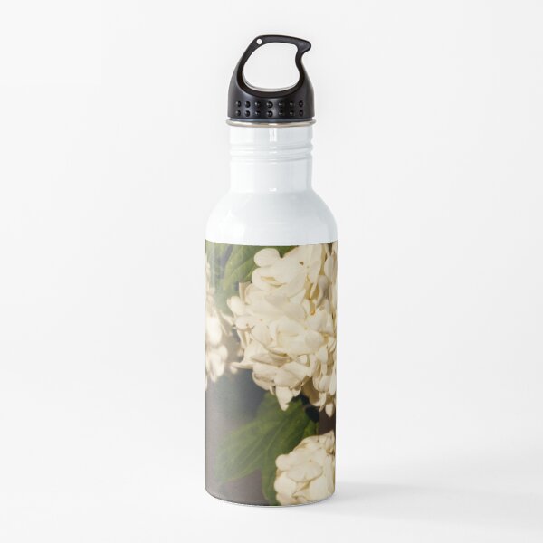 Chocolate Snowball 2 Water Bottle