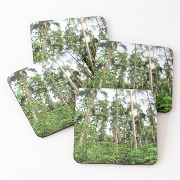 Item preview, Into The Forest - Cannock Chase designed and sold by realdorypanda.