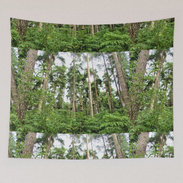 Item preview, Into The Forest - Cannock Chase designed and sold by realdorypanda.