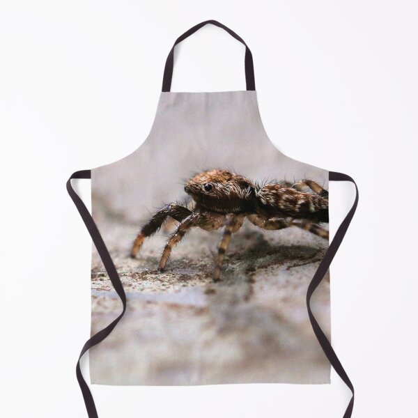 Item preview, itsy bitsy tini wini baby jumping spider designed and sold by cuprum.