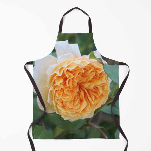 Item preview, A Perfect English Rose designed and sold by cuprum.
