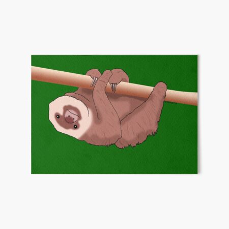 Hanging Sloth Art Board Print