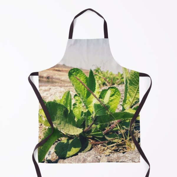 Item preview, Beautiful green leaves plant in desert designed and sold by HRC-Collection.