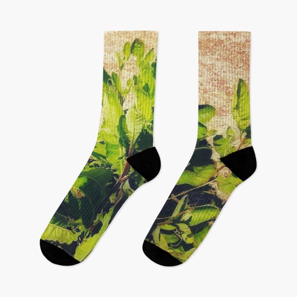Item preview, Beautiful green leaf plant in desert designed and sold by HRC-Collection.