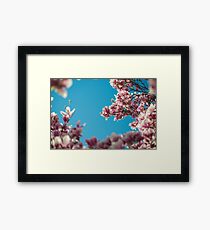 Blossoms Framed Print
