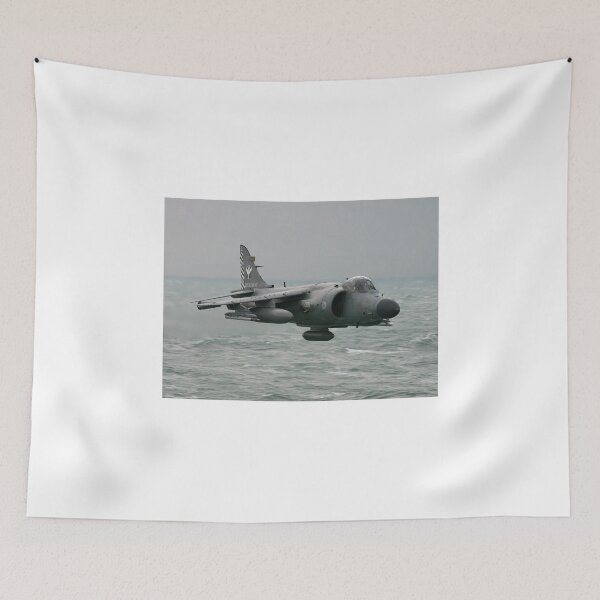 Item preview, Sea Skimming Sea Harrier designed and sold by captureasecond.