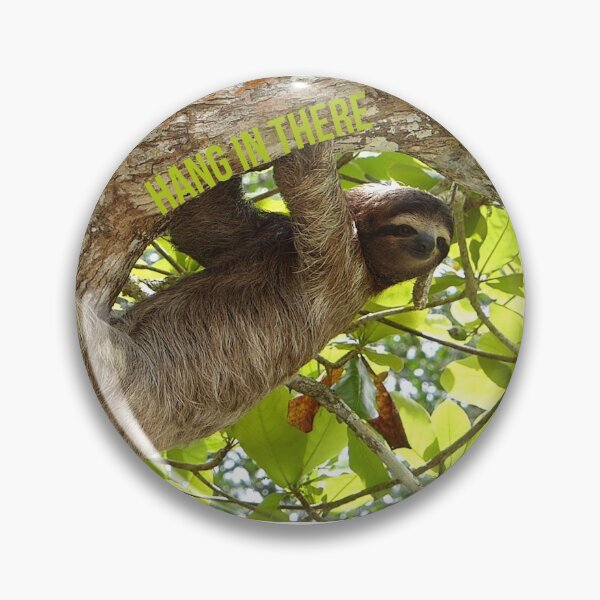Hang In There Sloth Pin