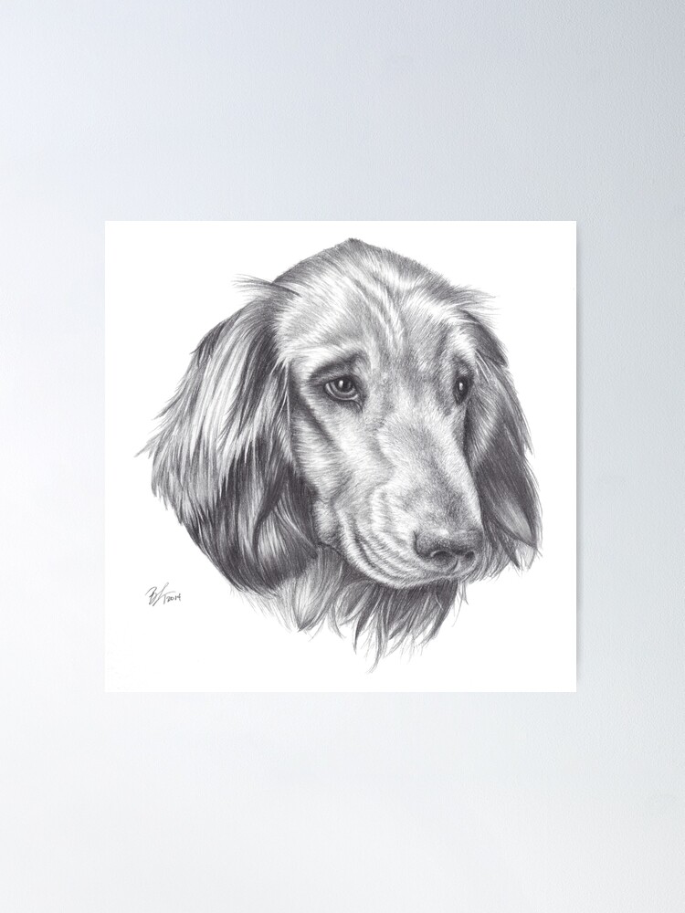 Alternate view of Arthur (Animal Charity) Poster