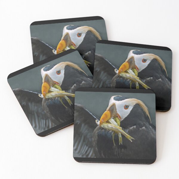 Item preview, Tufted Puffin Snacking on Sardines designed and sold by TheCurators.