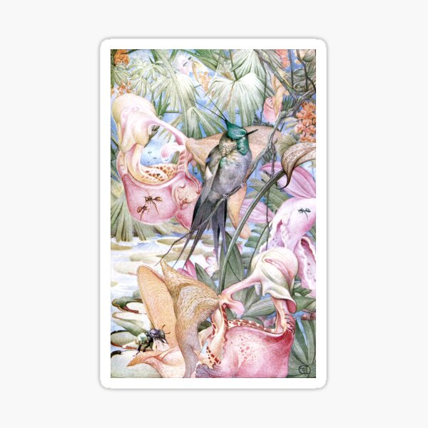 Tropisches Paradies Julius Detmold Sticker