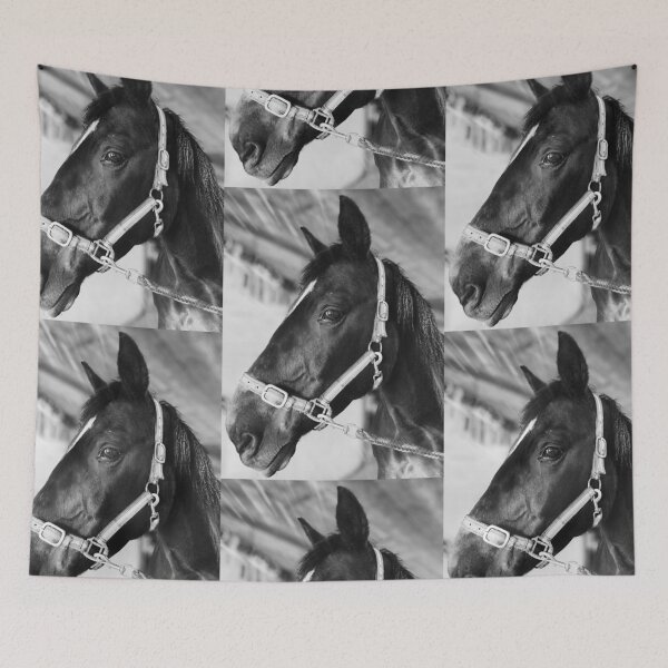Item preview, Horse waiting Black and White photo designed and sold by BetterTale.